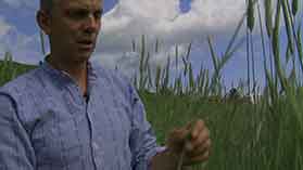 05 vlcsnap 2014 08 06 17h35m29s104