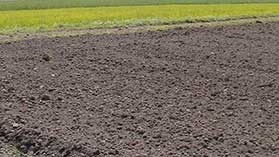 03 Rouen COST Geburi Judith Italien Ferien 05 016